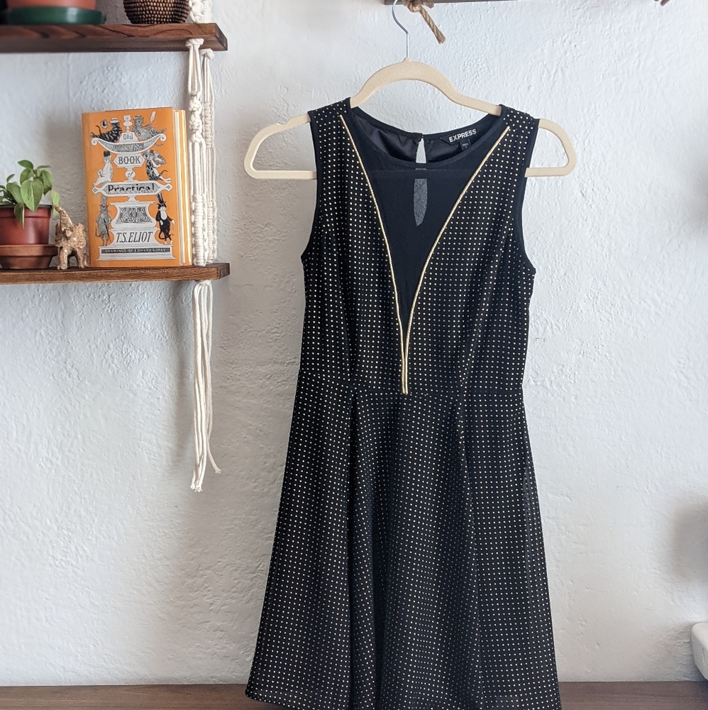 Express Skater Style Party Dress